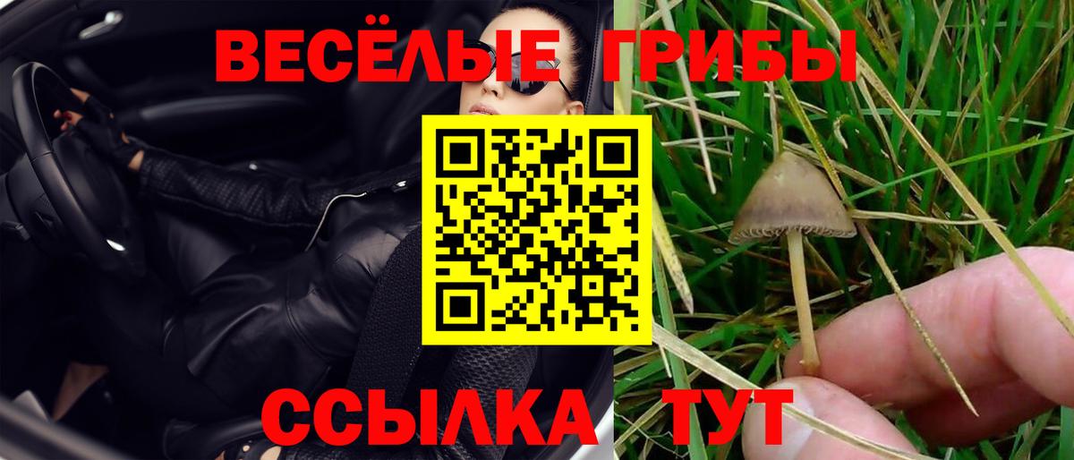 Выкса  Галлюциногенные грибы мухоморы  Вход с VPN 
